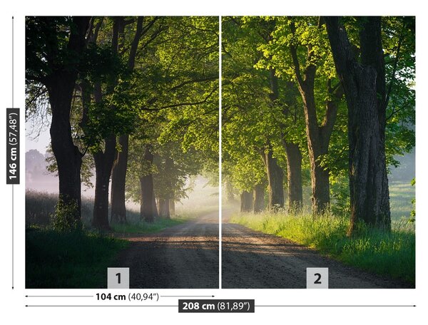 Carta da parati Avenue of Trees 104x70 cm