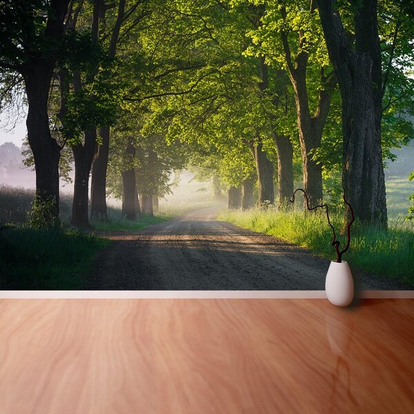 Carta da parati Avenue of Trees 104x70 cm