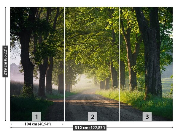 Carta da parati Avenue of Trees 104x70 cm