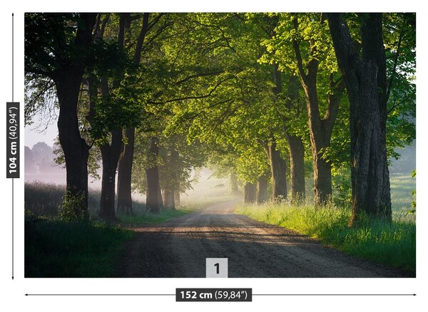 Carta da parati Avenue of Trees 104x70 cm