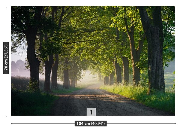 Carta da parati Avenue of Trees 104x70 cm