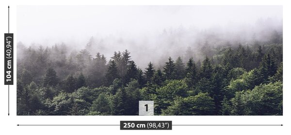 Carta da parati Foresta di montagna 104x70 cm