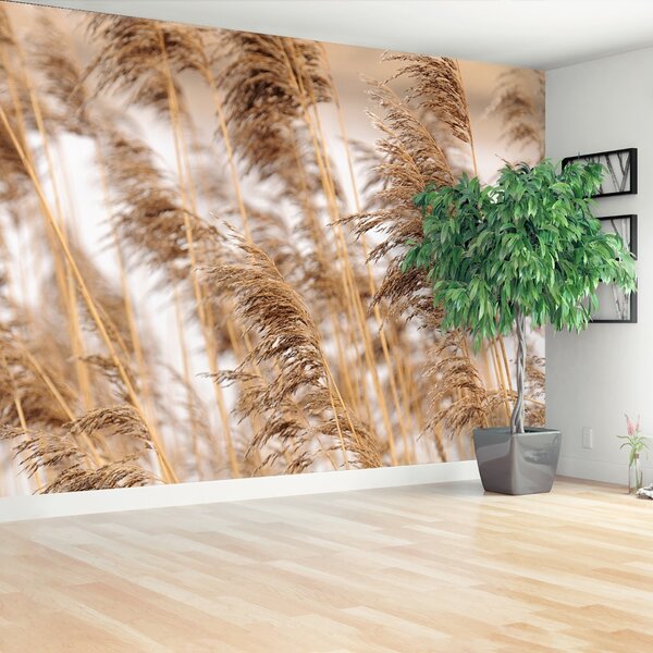 Carta da parati Canna marrone 104x70 cm