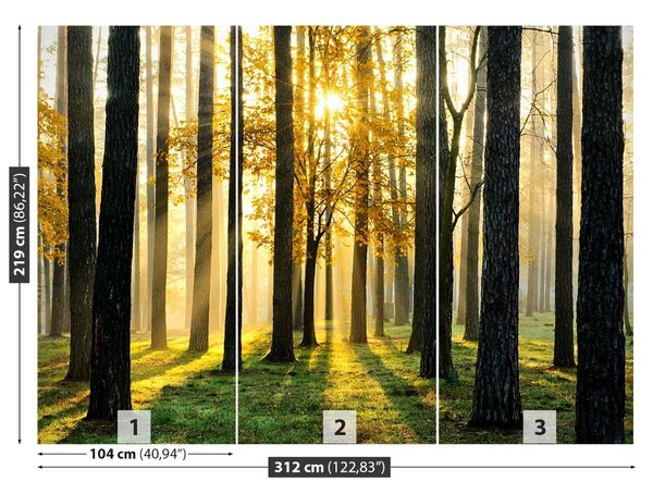 Carta da parati Foresta al mattino 104x70 cm