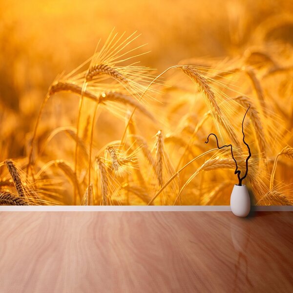 Carta da parati Campo di grano 104x70 cm
