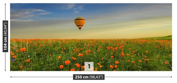 Carta da parati Palloncino prato 104x70 cm