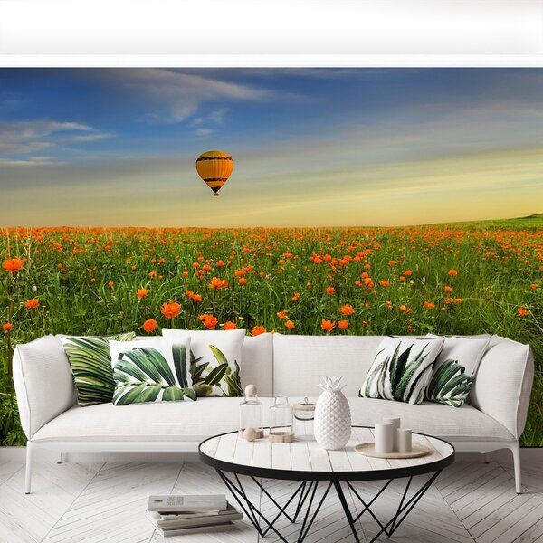 Carta da parati Palloncino prato 104x70 cm