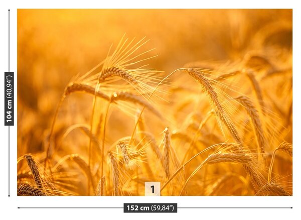 Carta da parati Campo di grano 104x70 cm