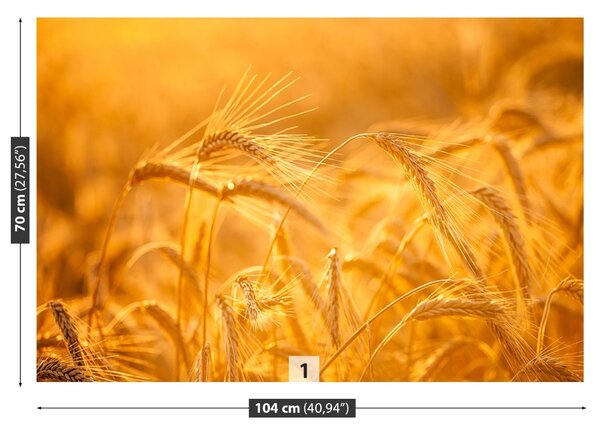 Carta da parati Campo di grano 104x70 cm