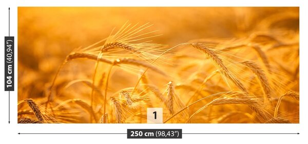 Carta da parati Campo di grano 104x70 cm