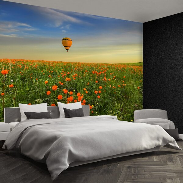 Carta da parati Palloncino prato 104x70 cm