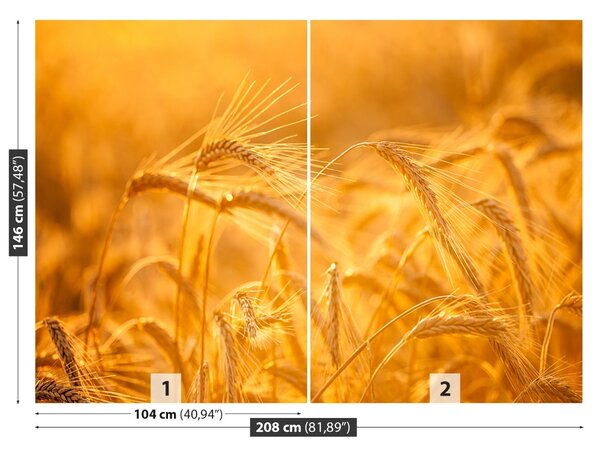 Carta da parati Campo di grano 104x70 cm