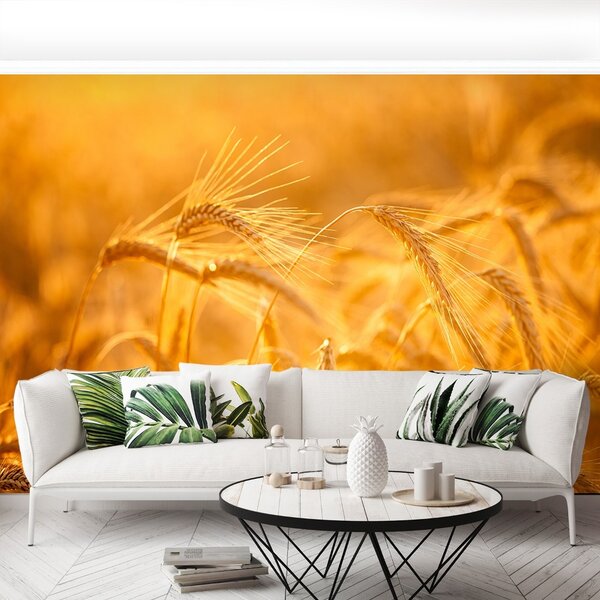 Carta da parati Campo di grano 104x70 cm