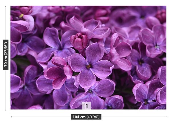 Carta da parati Fiori viola 104x70 cm