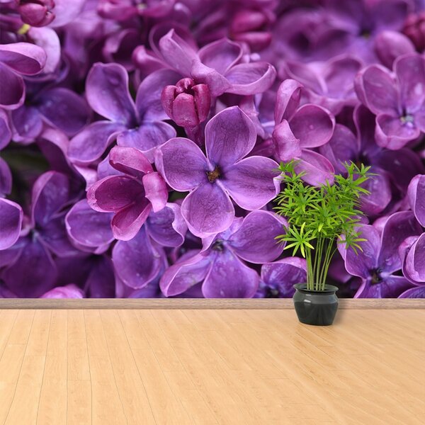 Carta da parati Fiori viola 104x70 cm