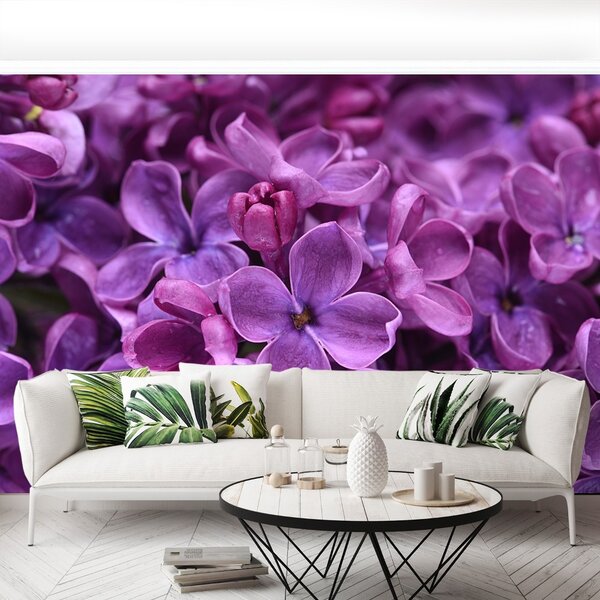 Carta da parati Fiori viola 104x70 cm