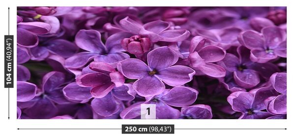 Carta da parati Fiori viola 104x70 cm