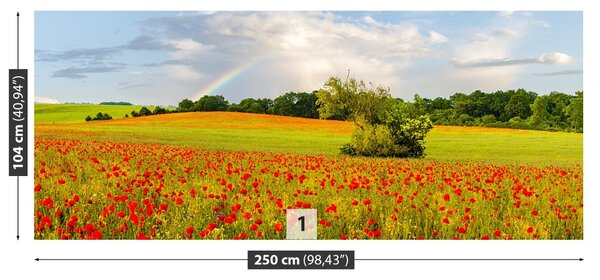 Carta da parati Arcobaleno 104x70 cm