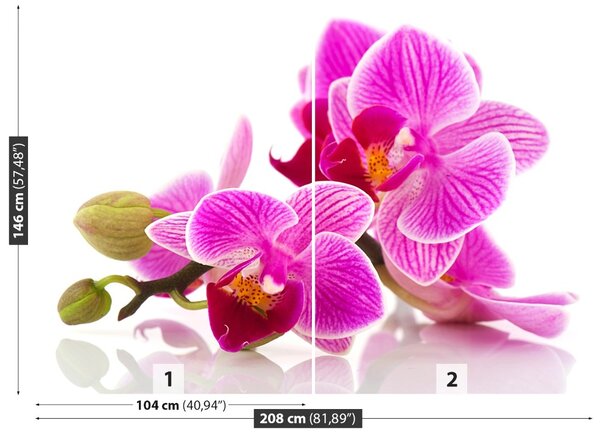 Carta da parati Fiori di orchidea 104x70 cm