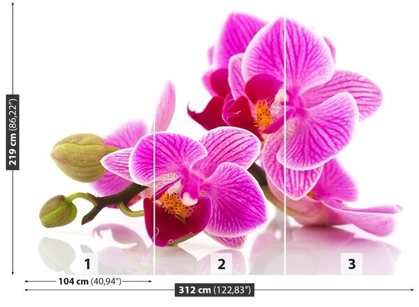 Carta da parati Fiori di orchidea 104x70 cm