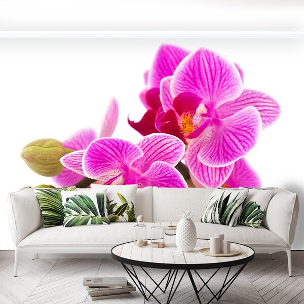 Carta da parati Fiori di orchidea 104x70 cm