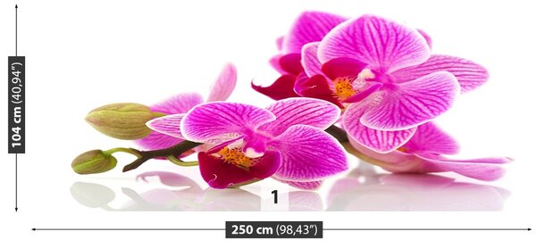 Carta da parati Fiori di orchidea 104x70 cm