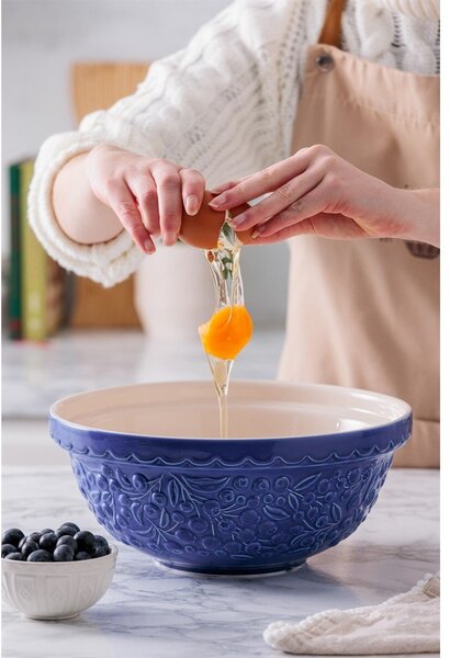 Ciotola blu in gres ø 26 cm Fruits Blueberry – Mason Cash