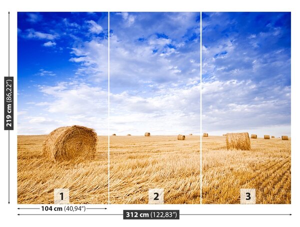 Carta da parati Campo d'oro 104x70 cm