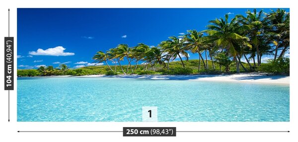 Carta da parati Palm Beach 104x70 cm