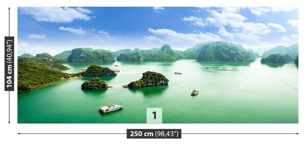 Carta da parati Baia in Vietnam 104x70 cm