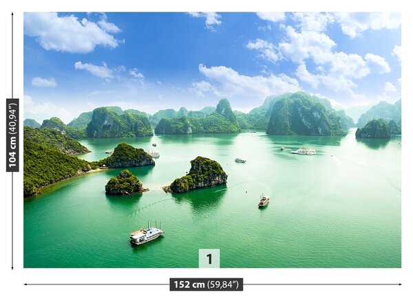 Carta da parati Baia in Vietnam 104x70 cm