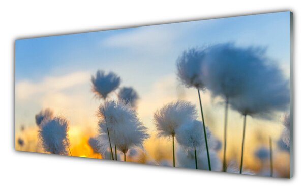 Quadro vetro Fiori Pianta naturale 100x50 cm 2 appendini