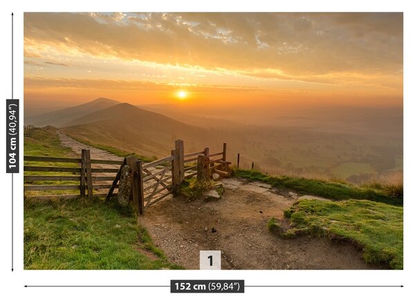 Carta da parati Golden Sunrise 104x70 cm