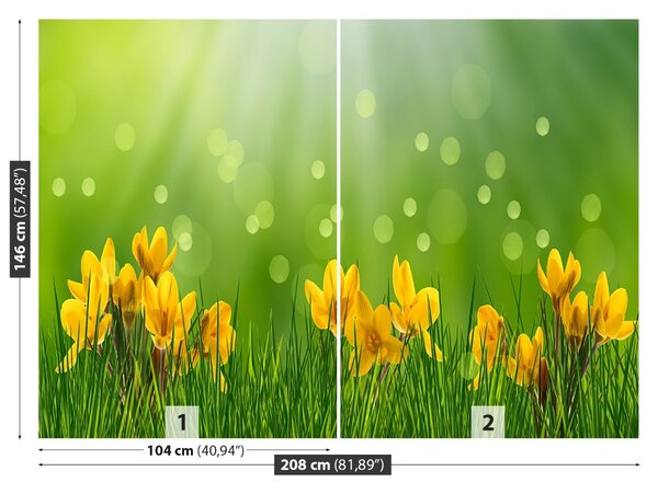 Carta da parati Crocus di Pasqua 104x70 cm