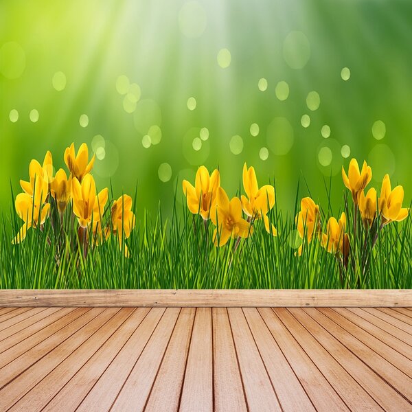 Carta da parati Crocus di Pasqua 104x70 cm