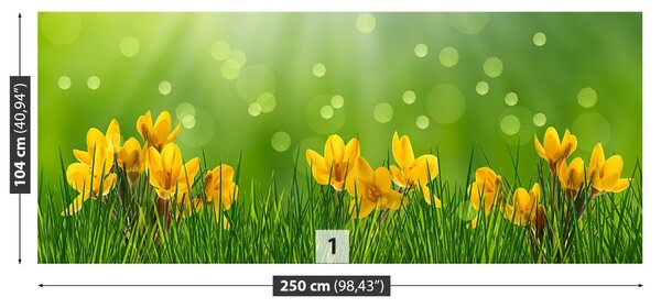 Carta da parati Crocus di Pasqua 104x70 cm