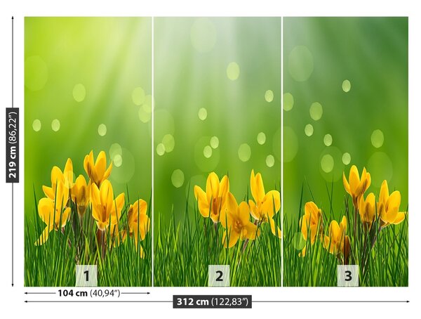 Carta da parati Crocus di Pasqua 104x70 cm