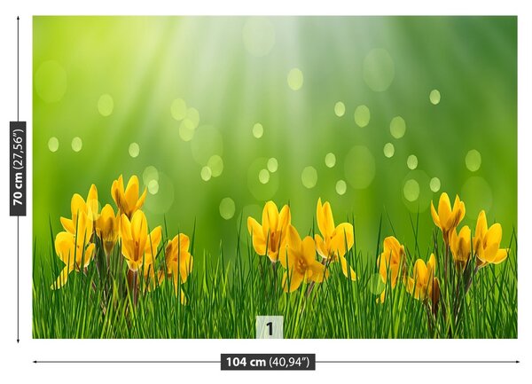 Carta da parati Crocus di Pasqua 104x70 cm