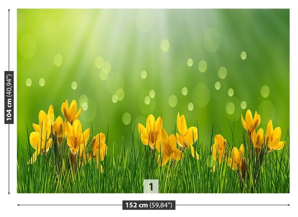 Carta da parati Crocus di Pasqua 104x70 cm