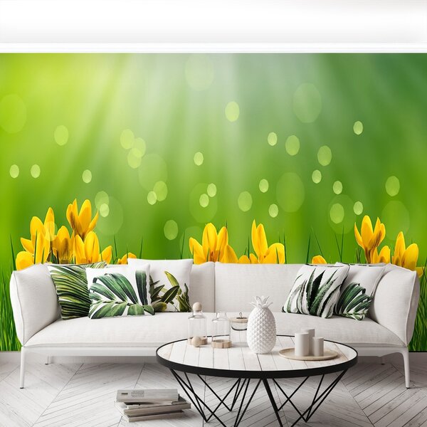 Carta da parati Crocus di Pasqua 104x70 cm