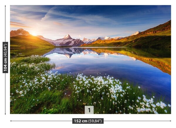 Carta da parati Monte Schreckhorn 104x70 cm