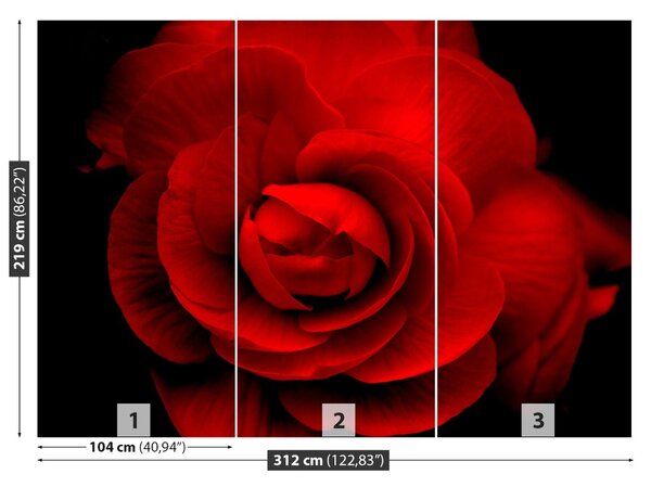 Carta da parati Rosa rossa 104x70 cm