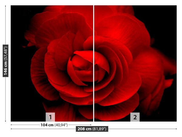 Carta da parati Rosa rossa 104x70 cm