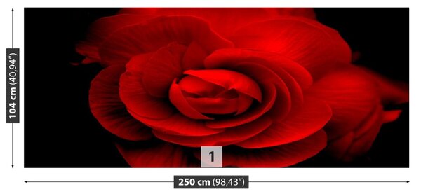 Carta da parati Rosa rossa 104x70 cm