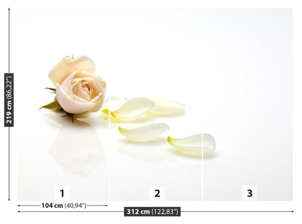 Carta da parati Rosa Rosa 104x70 cm