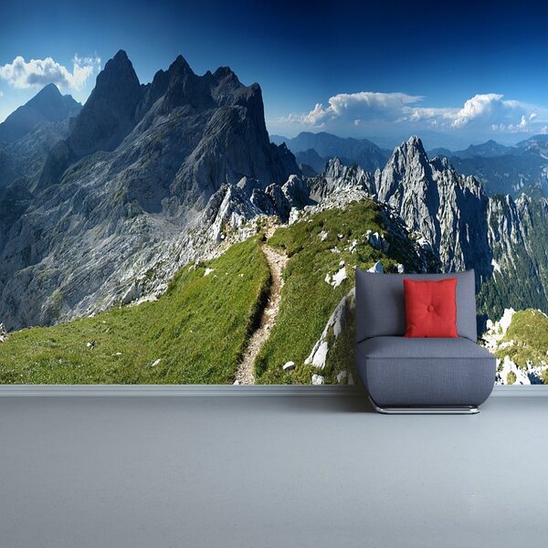 Carta da parati Alpi Slovenia 104x70 cm