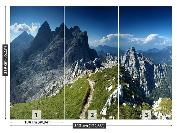 Carta da parati Alpi Slovenia 104x70 cm