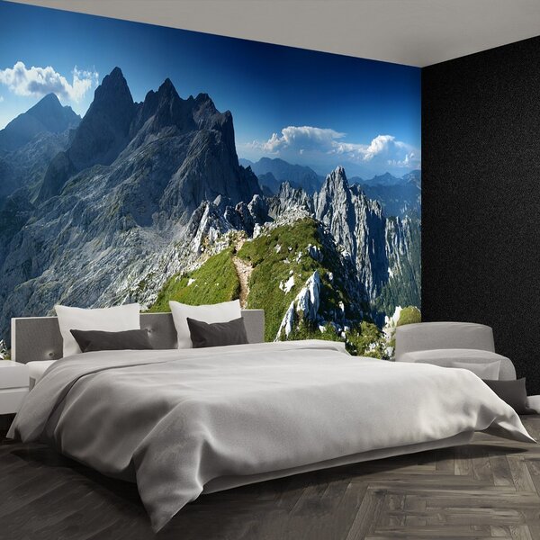 Carta da parati Alpi Slovenia 104x70 cm
