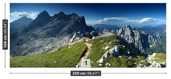 Carta da parati Alpi Slovenia 104x70 cm