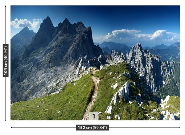 Carta da parati Alpi Slovenia 104x70 cm